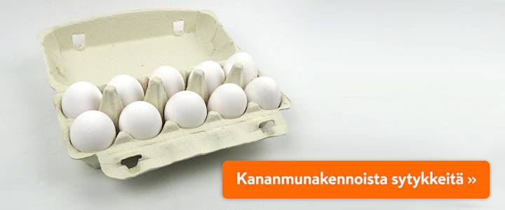 kiroileva-hiili-sytykkeet-askartelu-2021