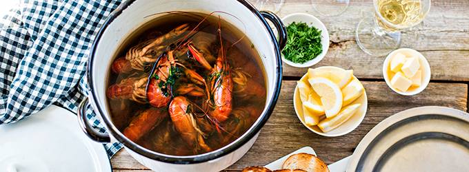 Liemi ravuulle kuvitus