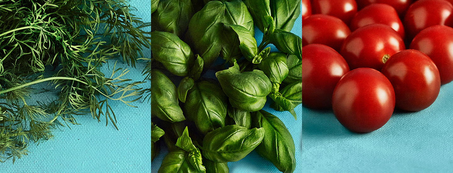 Vuoden paras sato on täällä!