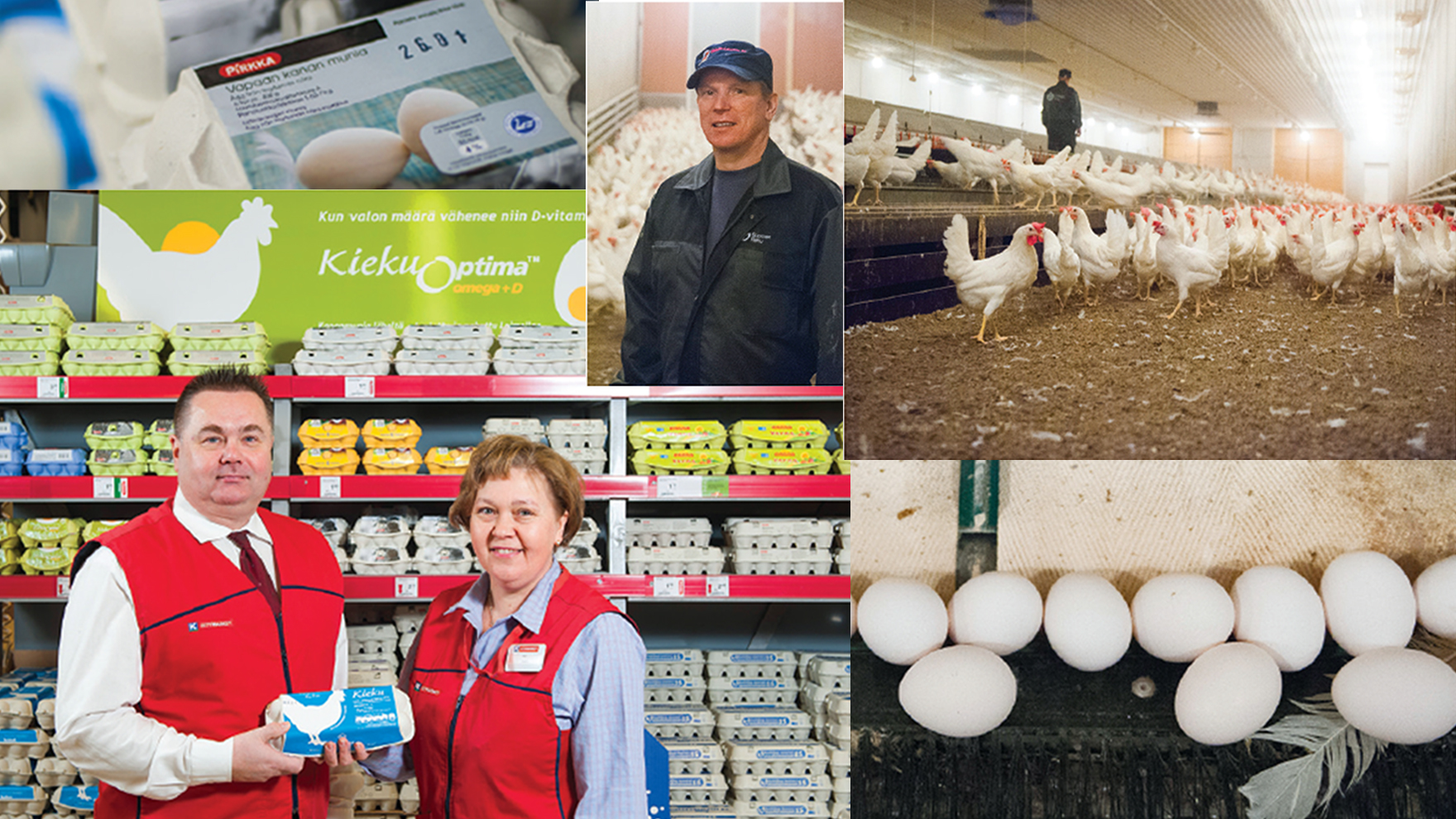 Kananmunan matka hyllylle