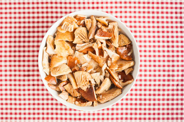 178_suolasienet_kuvituskuva_620-3