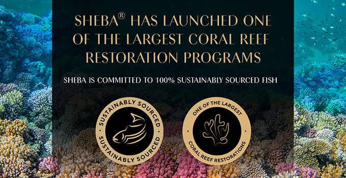 Sheba Brand Store - Asset 2