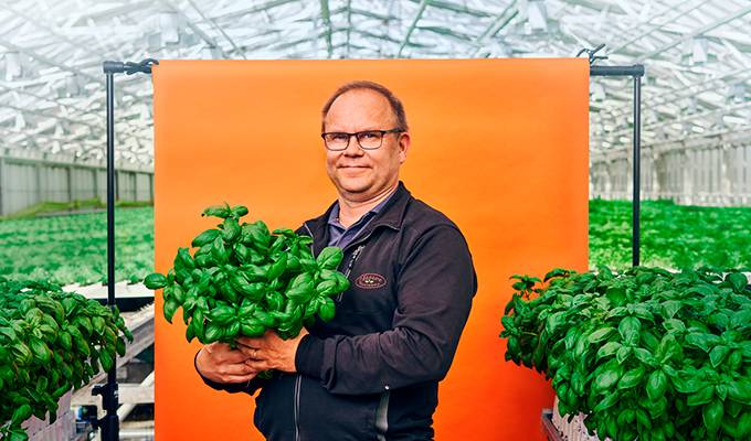 Oksasen puutarha kuvitus