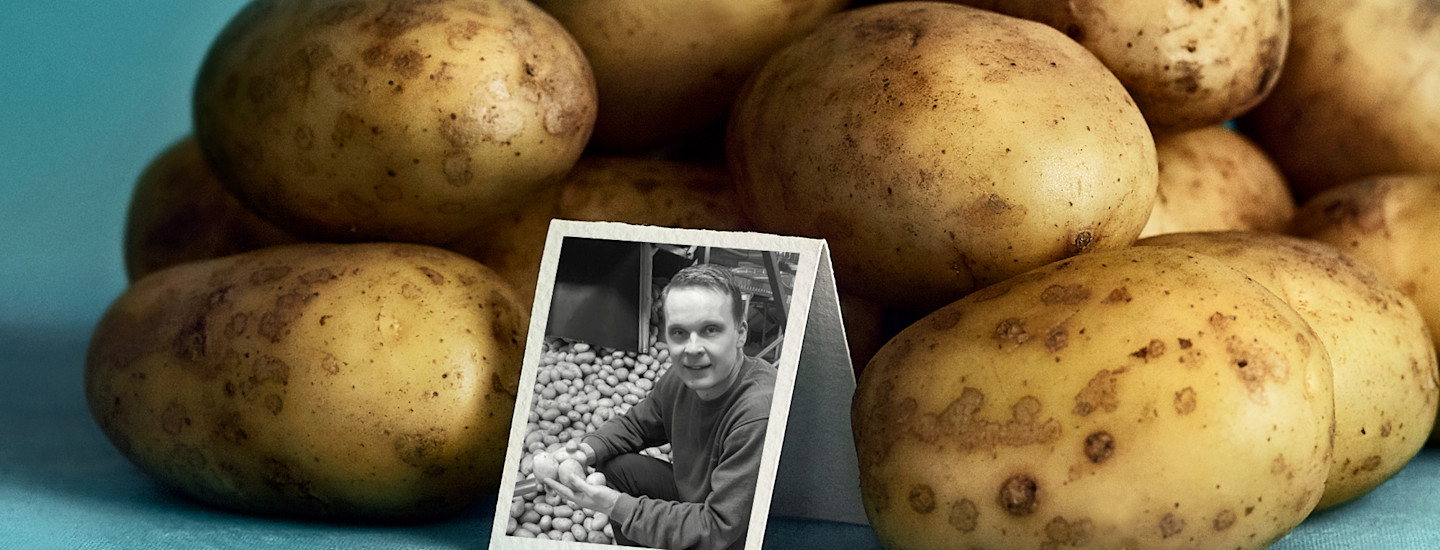 Mäkelän tilalla Himangan kylässä kasvavat Pirkka perunat