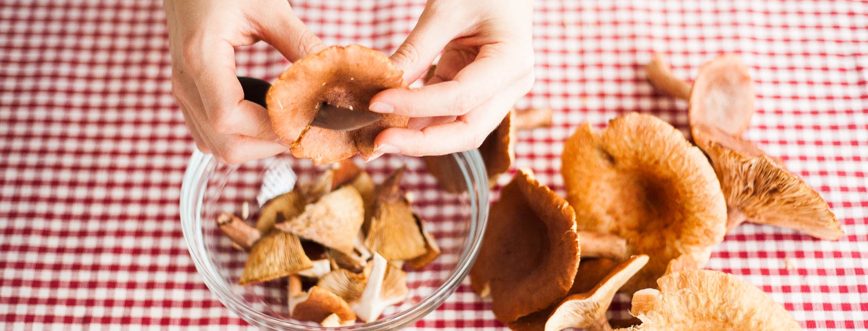 nain-sailot-suolasienet-header-image