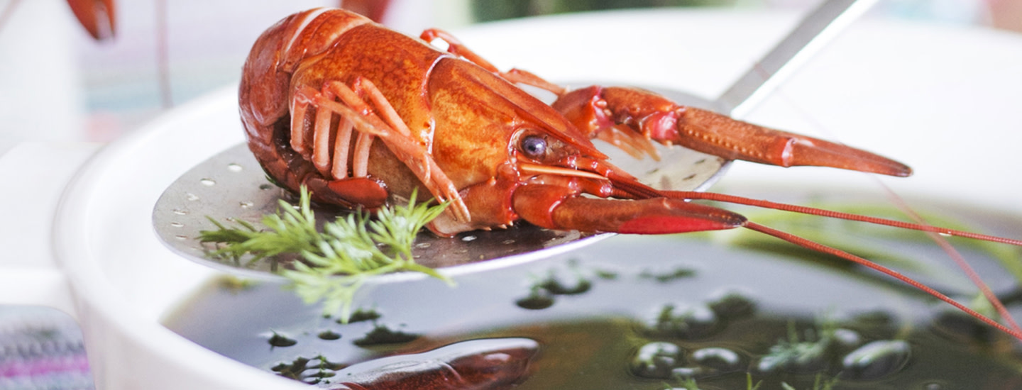 liemi-pakasteravuille-header-image