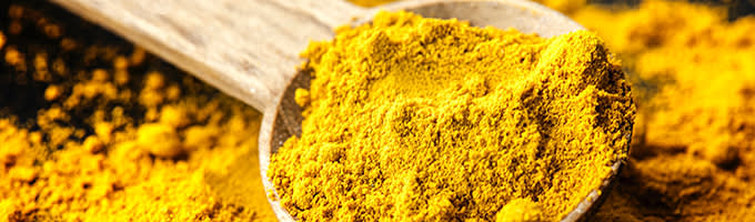 Kurkuma kuvitus