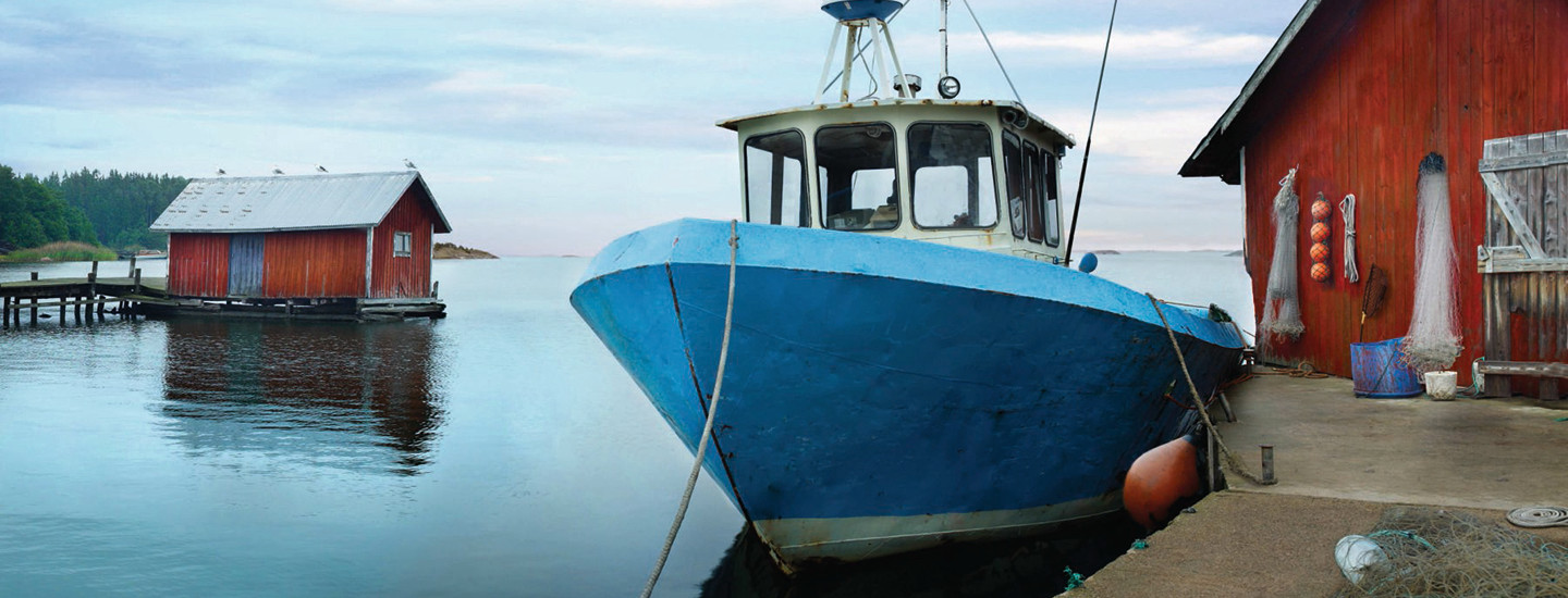 Pieni suuri teko: nuoret kalaan