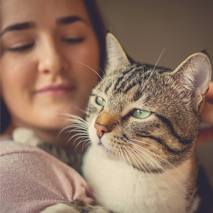 Etualalla kissa katsoo sivuviistoon ja taustalla nainen katsoo kissaa.