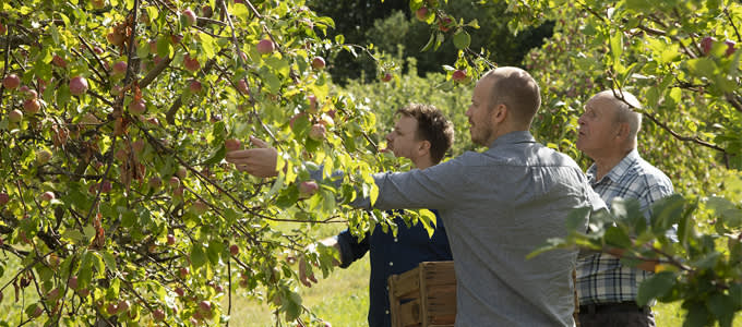 Ruokareviiri Paikallista sinulle Vohloisten tila vierailu