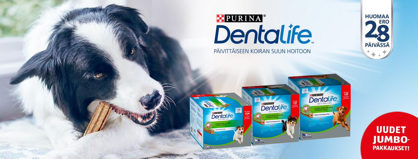 Kärsiikö koirasi hammasongelmista?