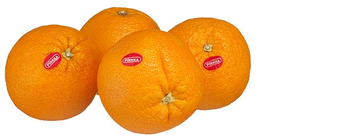 Navel appelsiini kuvitus