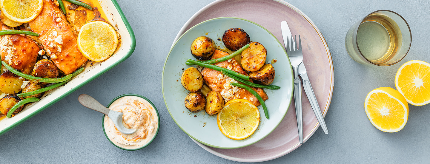 Harissalohi 2024 (1440x550)