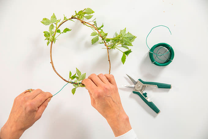 kukkaseppele vaihekuva1 680