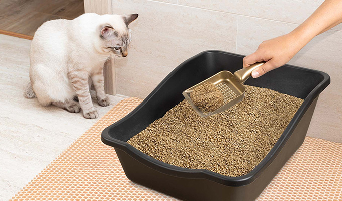 Cattia Vegetal Kesko kuvituskuva 680x400