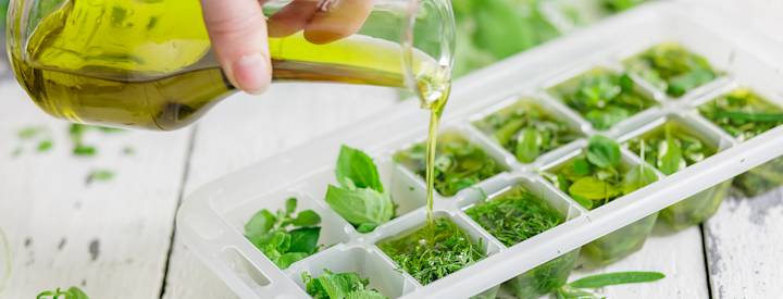 Tuoreita yrttejä on laitettu jääkuutiomuottiin. Muotteihin kaadetaan oliiviöljyä.