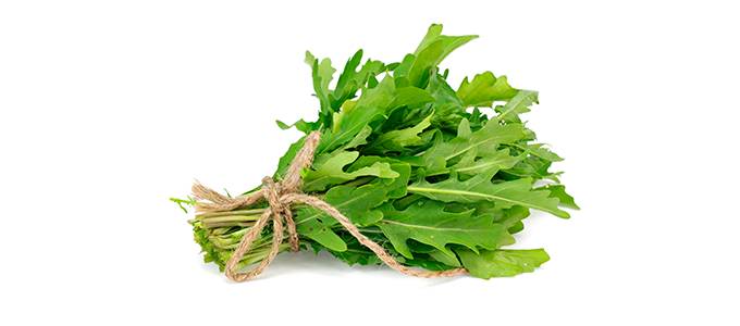 Rucolaa sidottuna yhteen juuttilangalla.