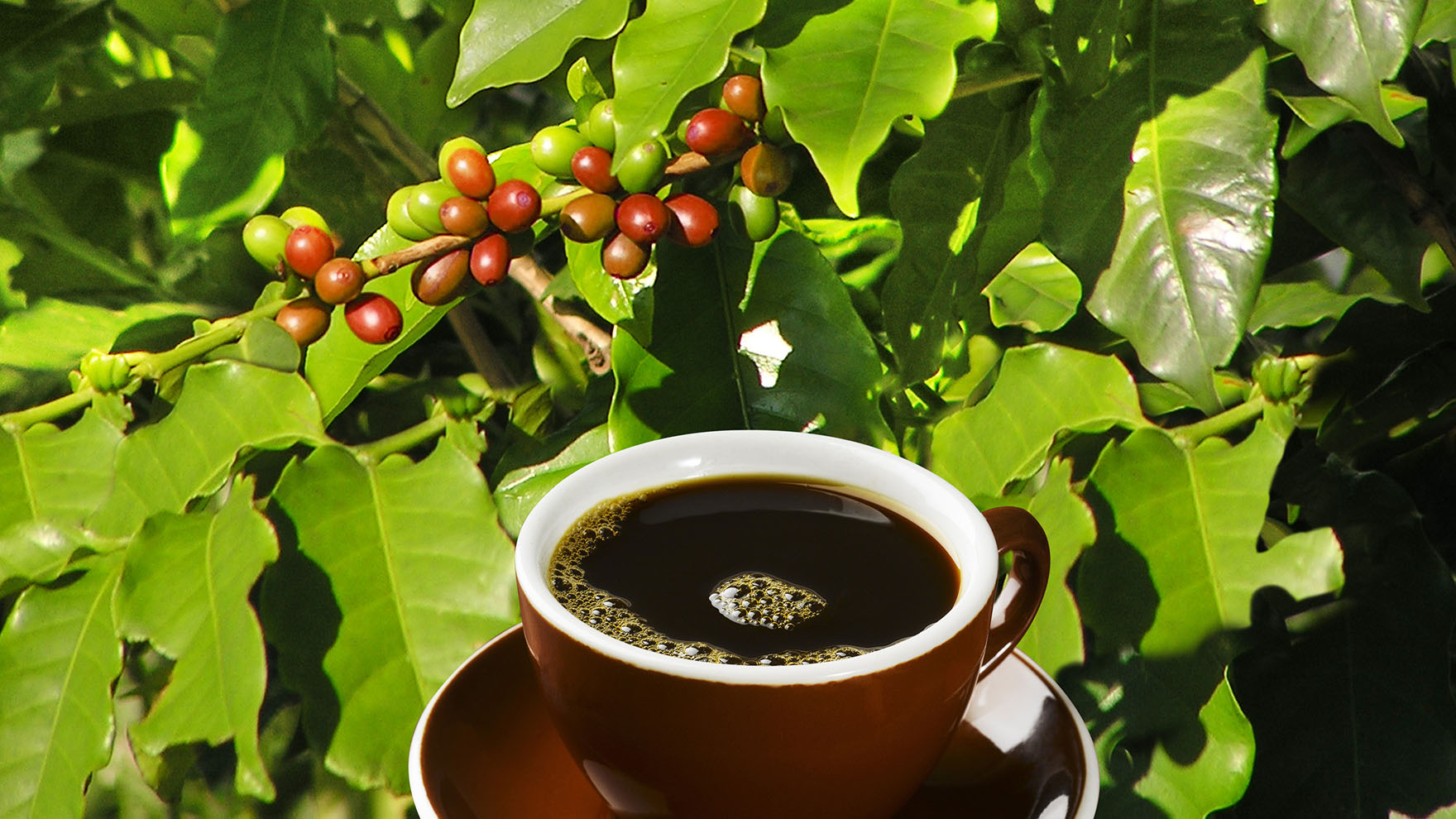 Paranna maailmaa kahvitauolla