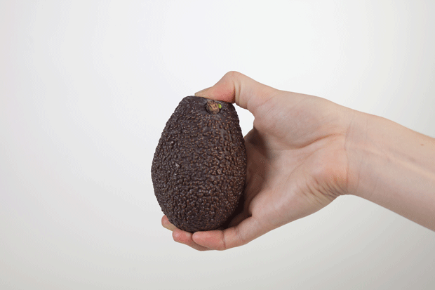 028_hedelmien_kypsyyskoulu_avokado