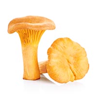 Sienestys | Sienireseptit – K-Ruoka