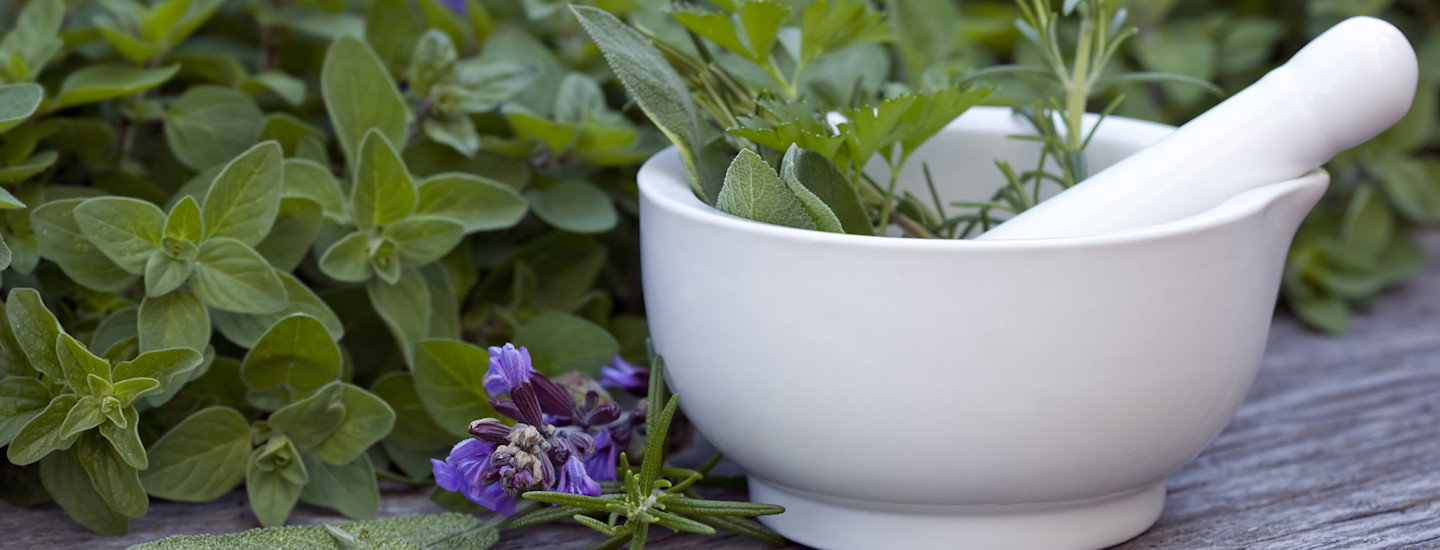 Kasvata yrttejä ammattilaisen vinkeillä