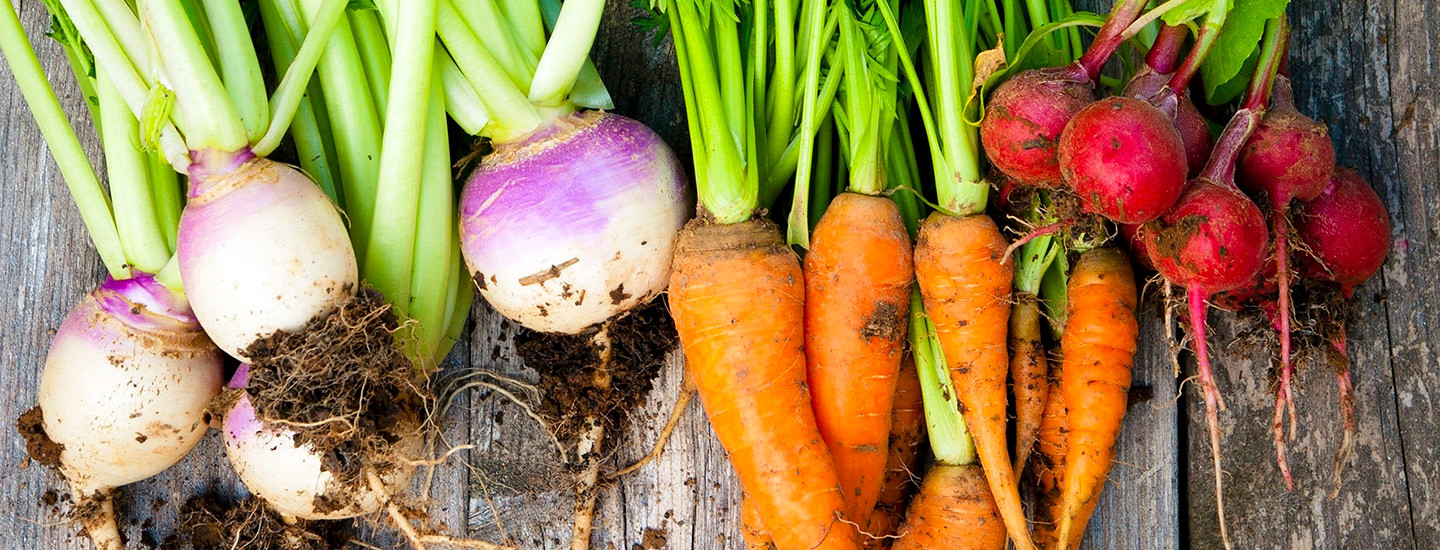 Maukkaat nippuvihannekset