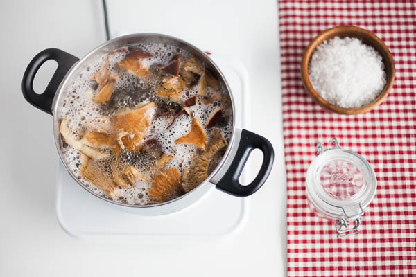 178_suolasienet_kuvituskuva_620-4