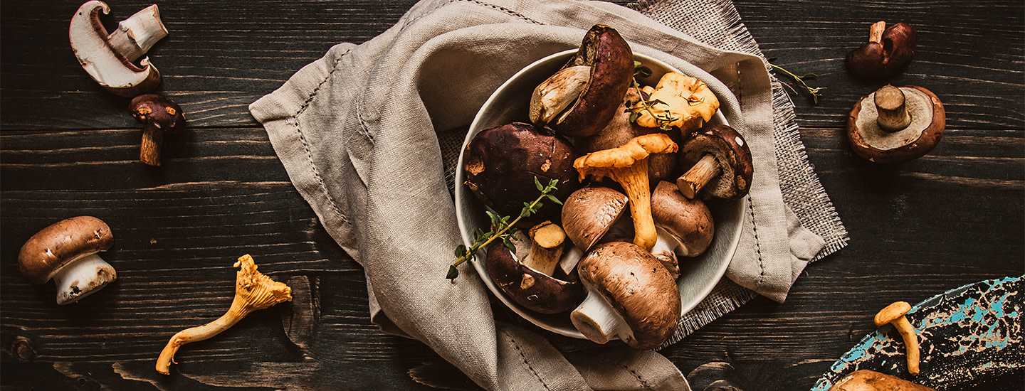 Sienten pakastaminen cover