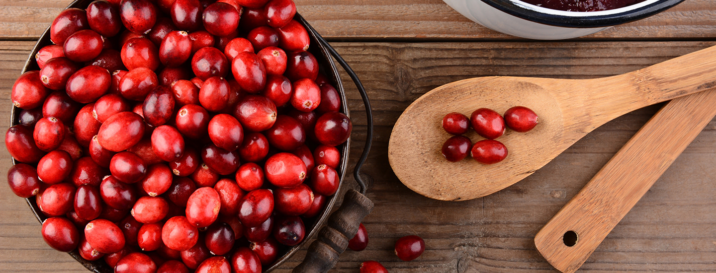 karpalo-header-image