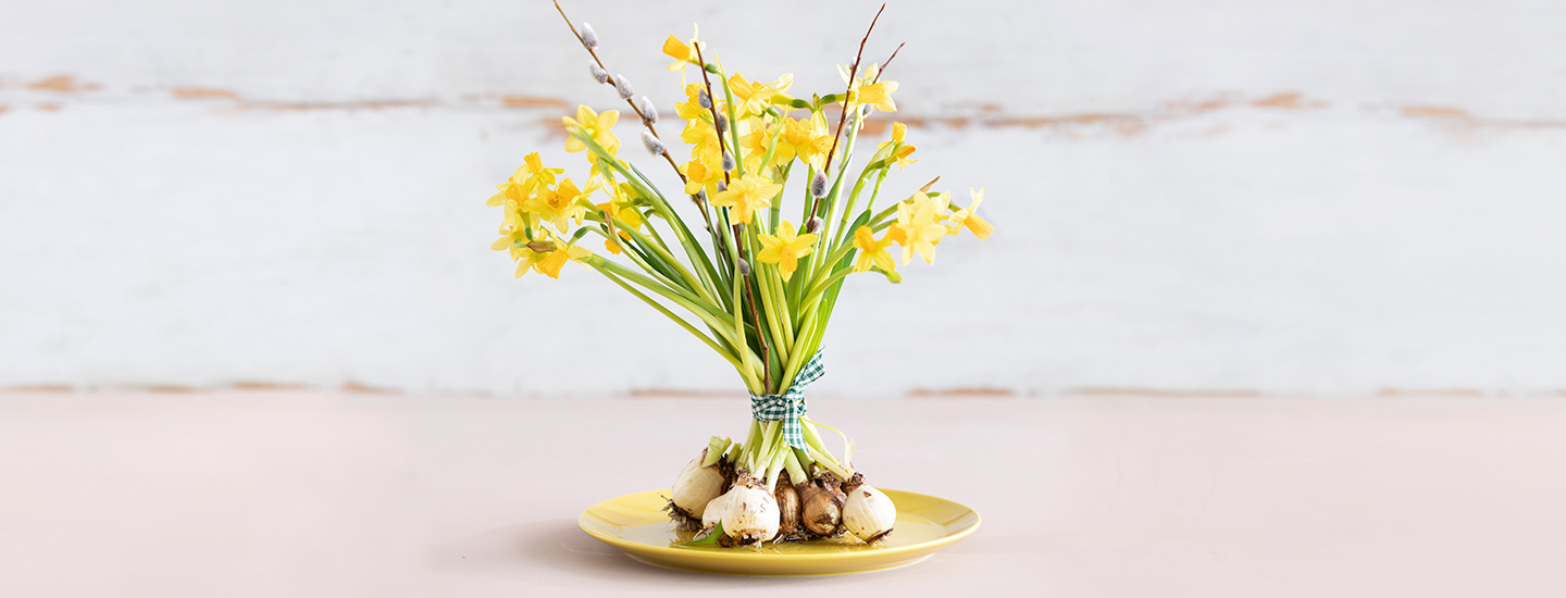 narsissikimppu paasiaisasetelma paakuva 1440x550