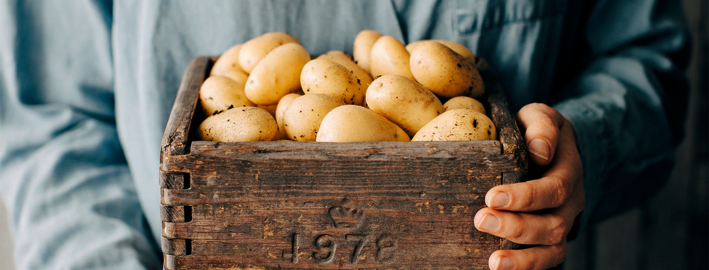 Uudet perunat fiilis cover