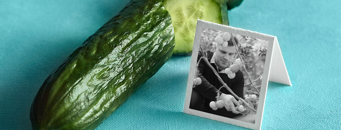 Pirkka Luomu pikkukurkut kasvavat Honkajoella Ari Kulmasen hoivissa