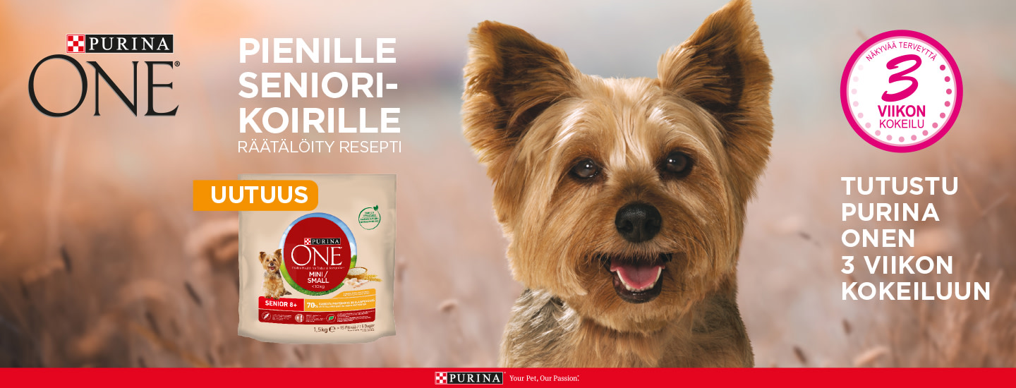 Laadukas PURINA ONE -koiranruoka saatavilla nyt myös pienille seniorikoirille