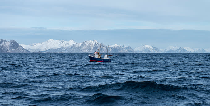 Artikkelin kuvituskuva