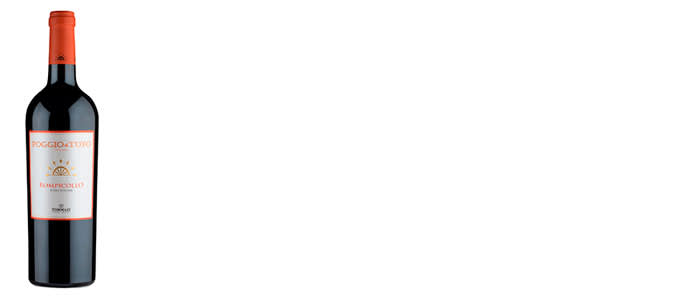 kevattalven viinit pataruoat2 680