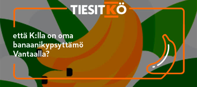 tiesitko kuvituskuva banaani 680x300