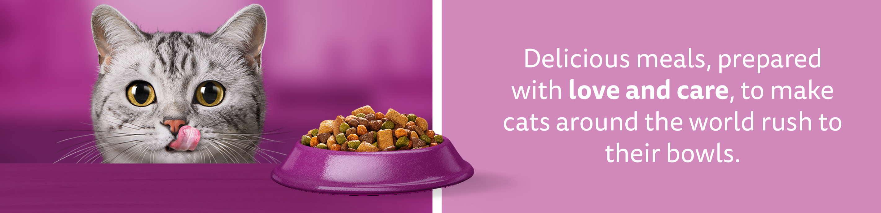 Whiskas brandstore asset