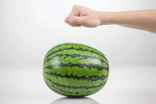 028_hedelmien_kypsyyskoulu_vesimeloni