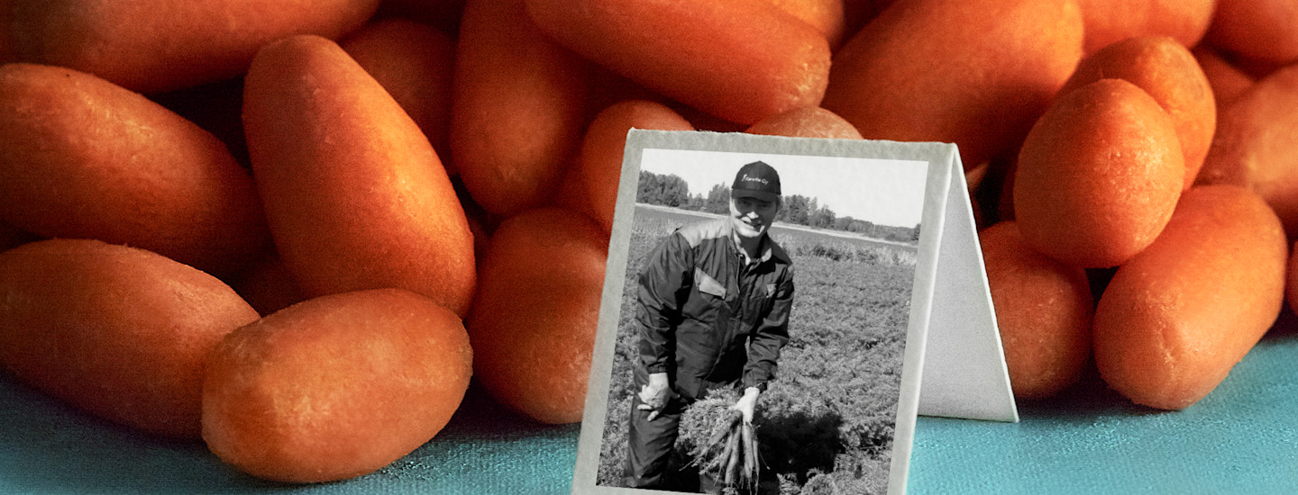 Pirkka naposteluporkkanat kasvavat Hyytiäisen tilalla Koijärvellä