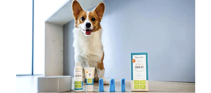 Oxyfresh kuvituskuva 2023 680x300px