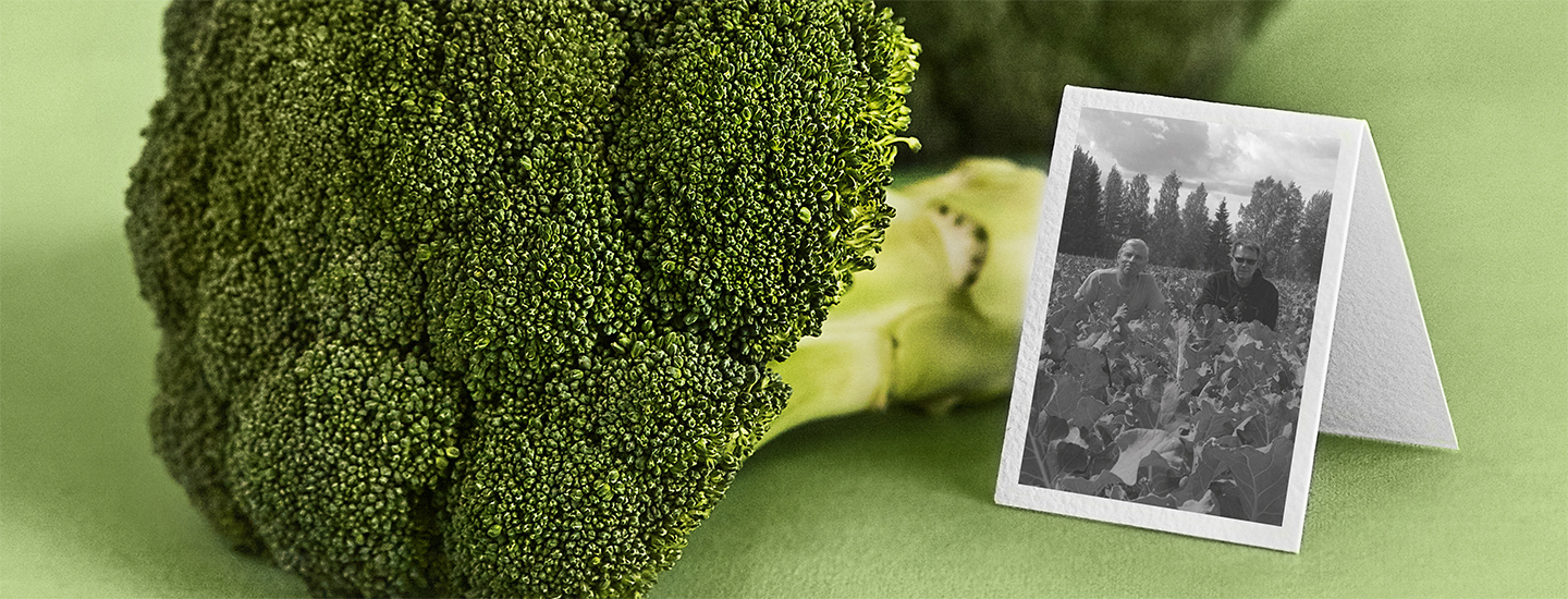 Pirkka parsakaalia Mikkelin Haukivuorelta