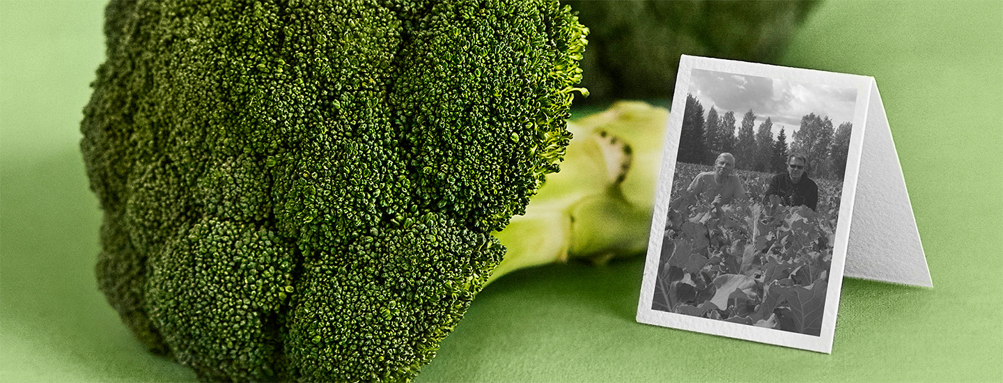 Pirkka parsakaalia Mikkelin Haukivuorelta