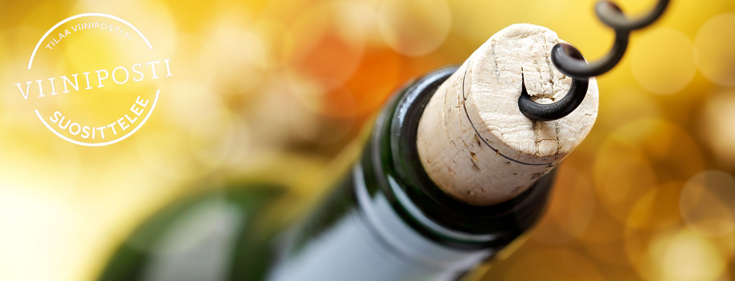 Miten säilyttää viinit oikein?
