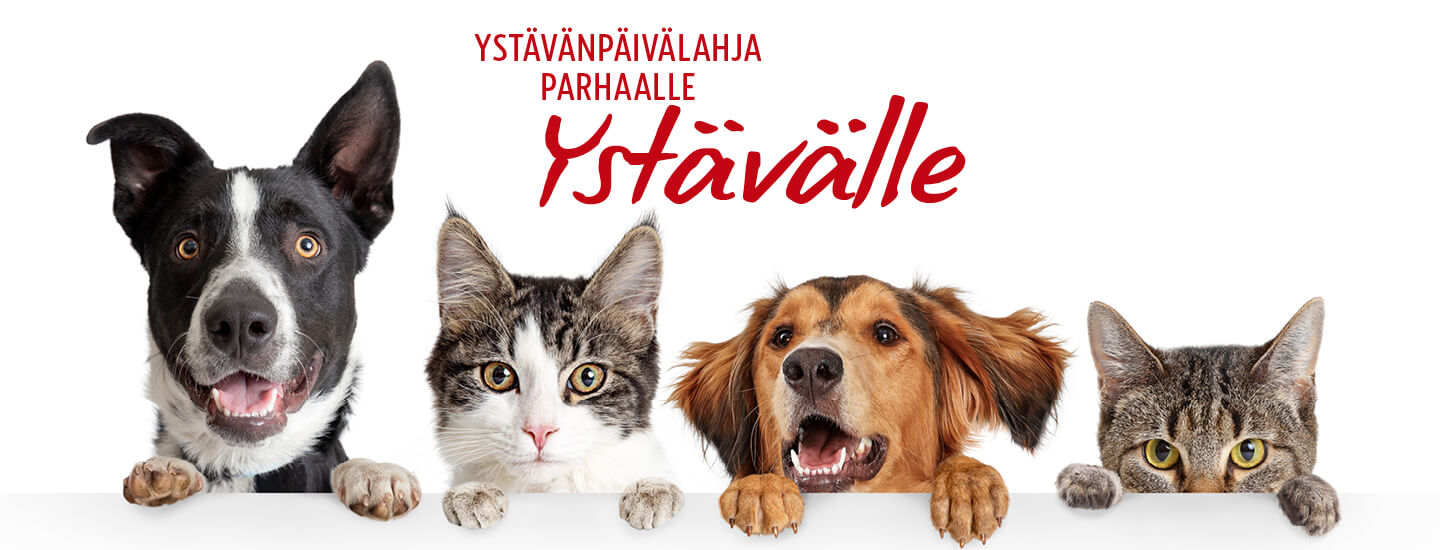 Ystävänpäivä, lahja parhaalle ystävälle!