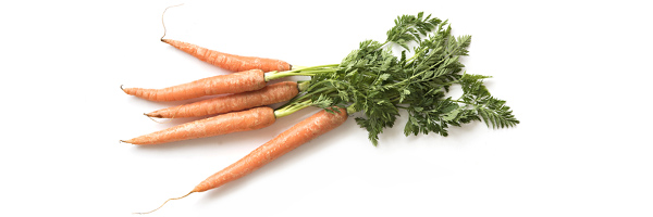 porkkana-kesan-satoa