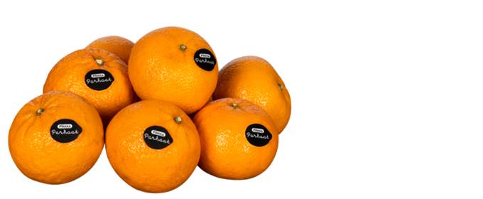 Pirkka Parhaat irtoklementiini kuvitus