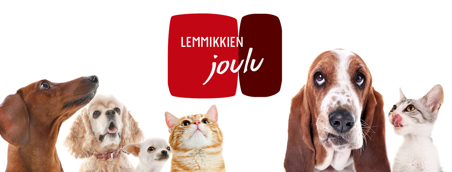 Lemmikkien herkut jouluun!