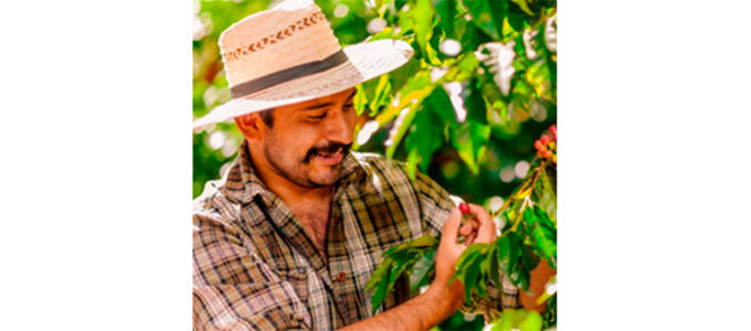 Nestle kuvituskuva 1 680x300