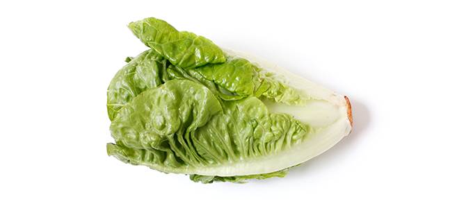 Romainesalaattia valkoisella taustalla.