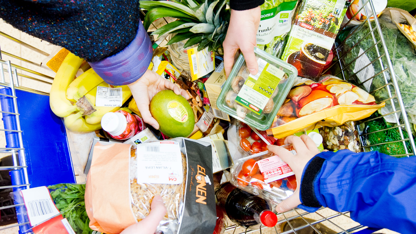 21 faktaa ruokahävikistä